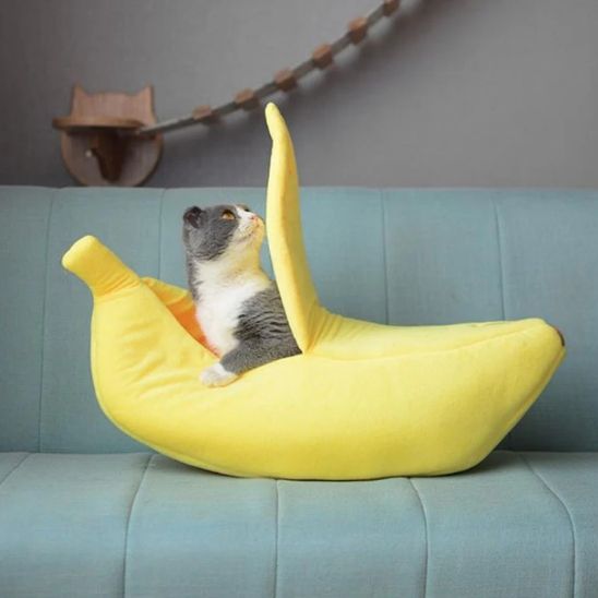 Coussin Ă  chat - Banane - ChatTisfait