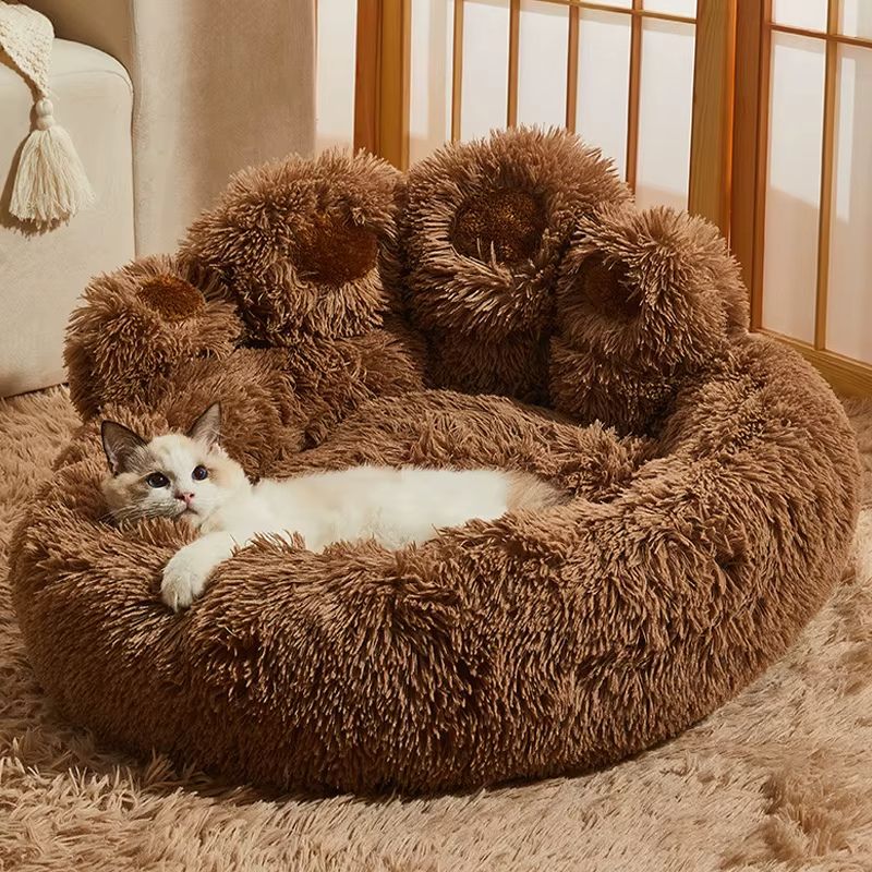 Coussin chat - Patte - d'ours - ChatTisfait