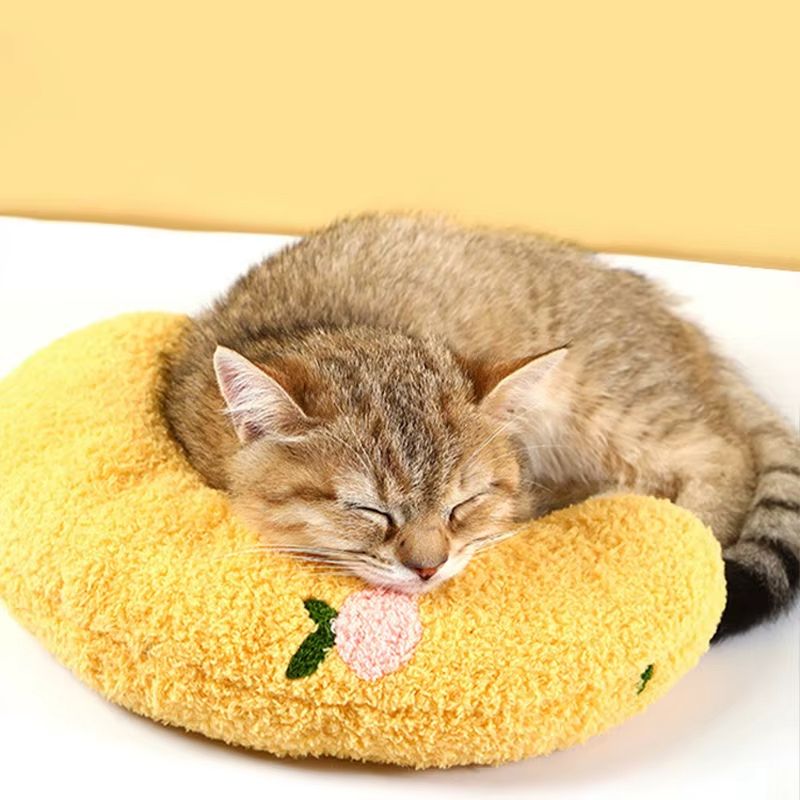 Coussin pour chat - Soutien articulaire - ChatTisfait