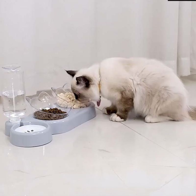 Distributeur de croquettes pour chat - Ergonomique - ChatTisfait