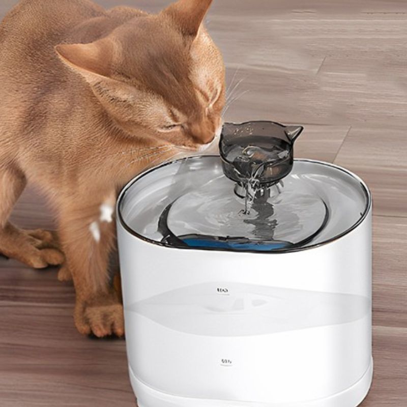 Fontaine a eau chat - tête de chat - ChatTisfait