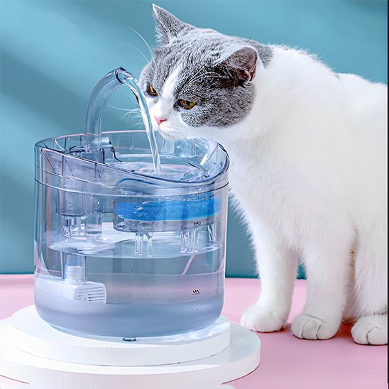 Fontaine a eau chat - robinet - ChatTisfait