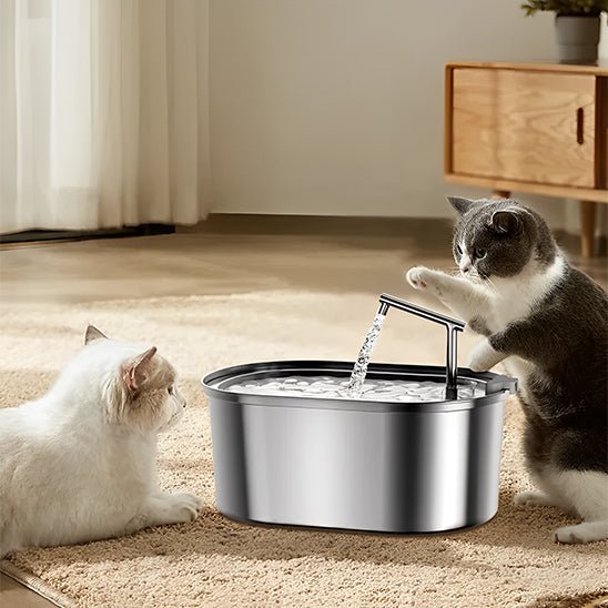 Fontaine a eau chat - inox - ChatTisfait