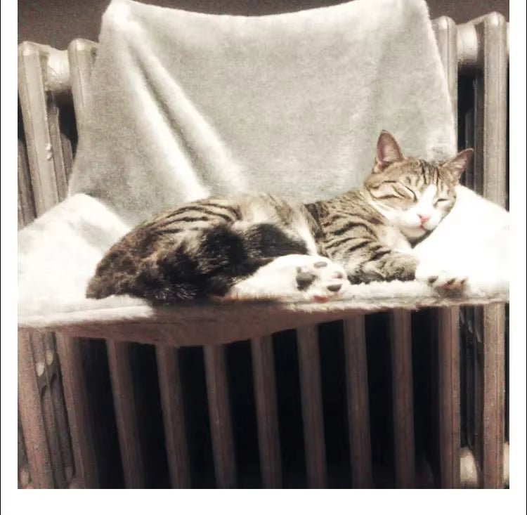 Hamac pour chat radiateur - Peluche - ChatTisfait