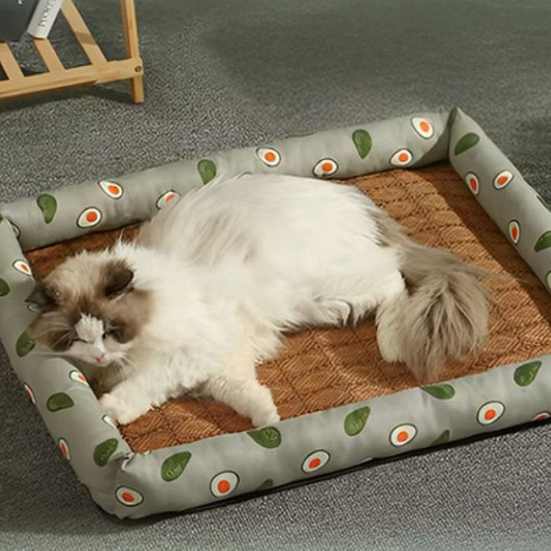 Panier pour chat - respirant - ChatTisfait