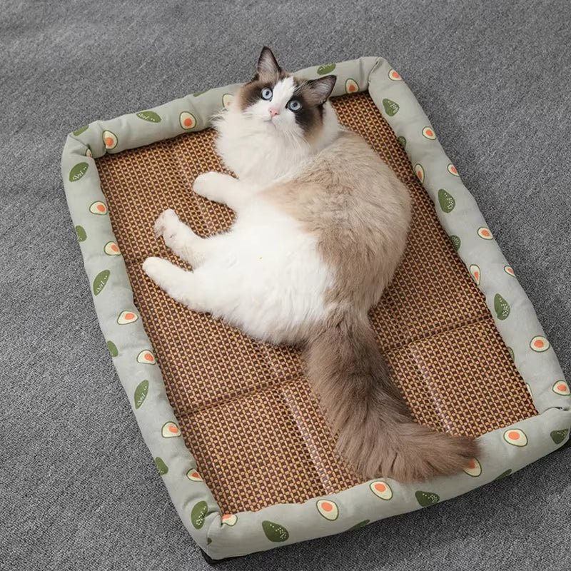 Panier pour chat - respirant - ChatTisfait