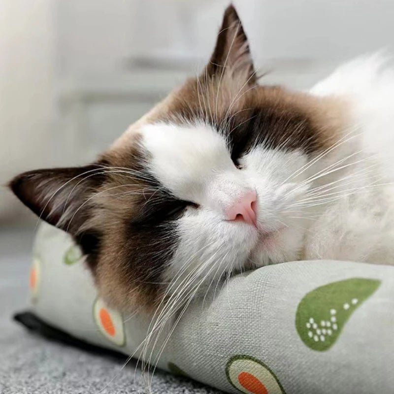 Panier pour chat - respirant - ChatTisfait