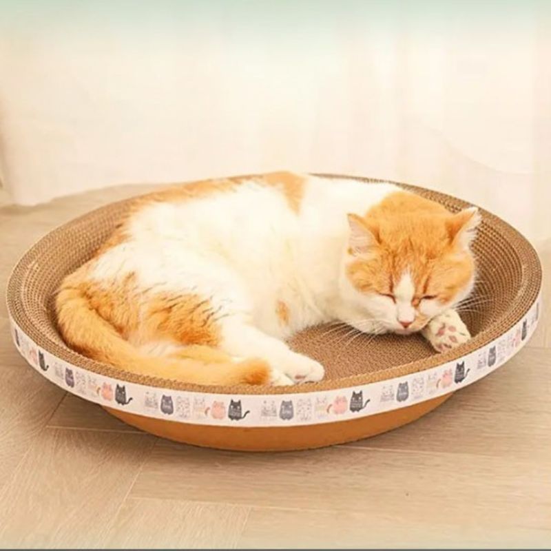 Panier pour chat - Griffoir - ChatTisfait