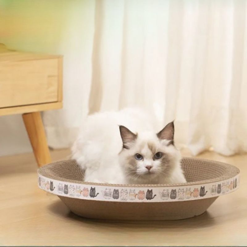 Panier pour chat - Griffoir - ChatTisfait