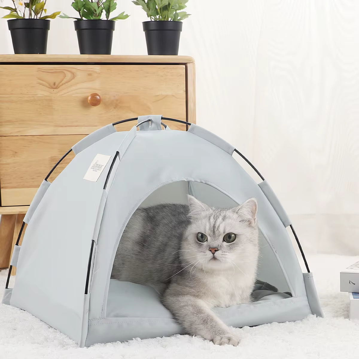 panierpourchat-tante-gris