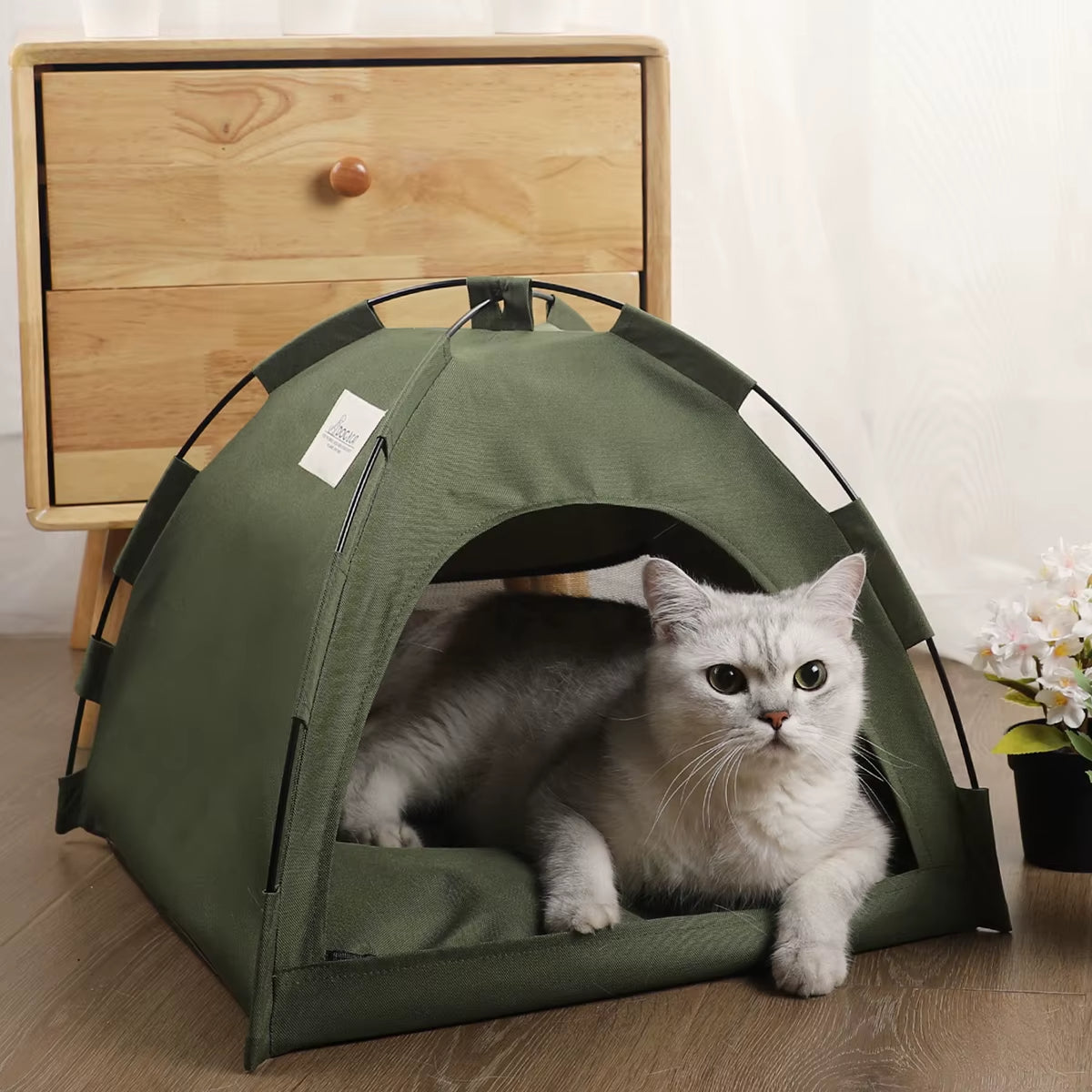 panierpourchat-tante-vert-armé