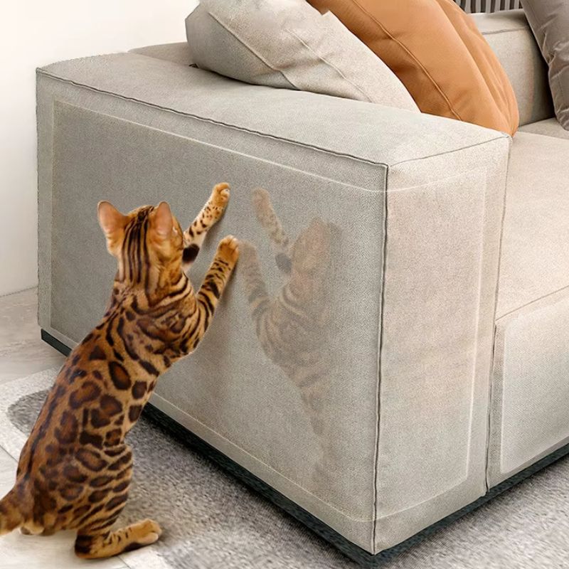 Protège anti griffes de chat | SecurisMeubles™ - ChatTisfait