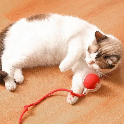 Balle interactive chat | CatintBall™ - ChatTisfait