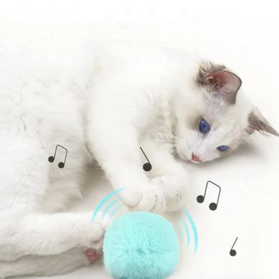 ballepourchat-musique