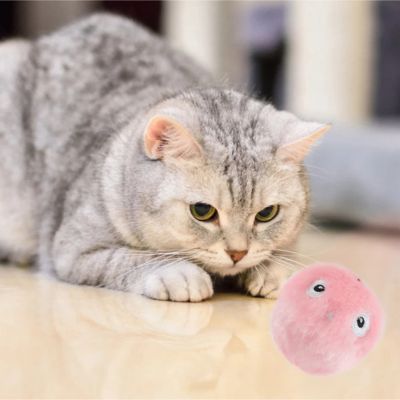 ballepourchat-rose