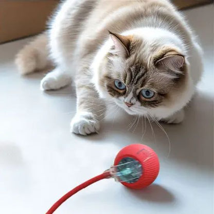 Balle interactive chat | CatintBall™ - ChatTisfait