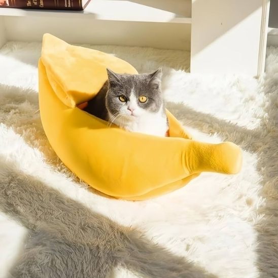 coussinàchat-banane