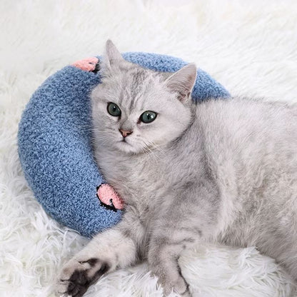 coussinpourchat-soutienarticulaire-bleu