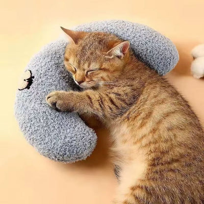 coussinpourchat-soutienarticulaire-confortable