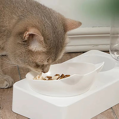 gamellepourchat-sureleve-croquettes-eau