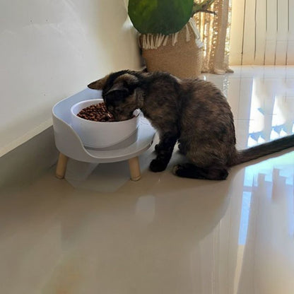 gamellepourchat-sursocle-chaton