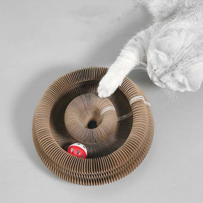 Griffoir chat - Accordéon - ChatTisfait