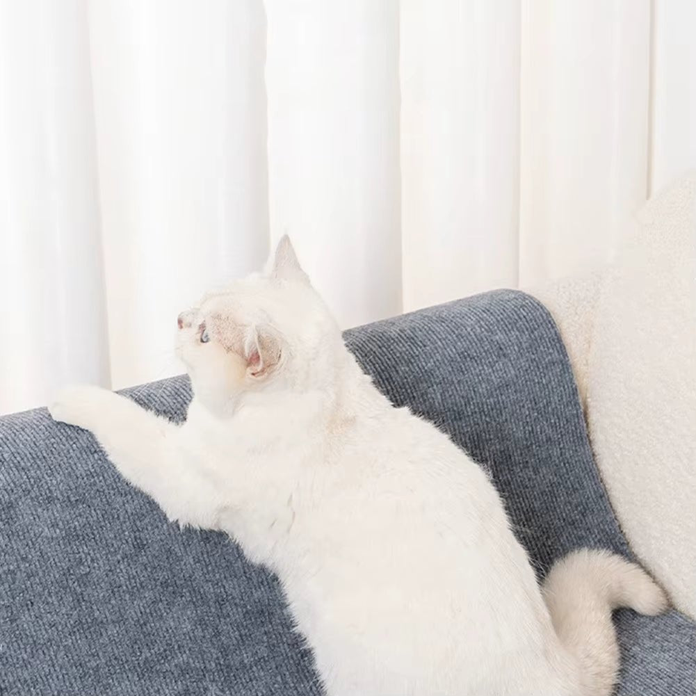 Griffoir chat - Plaque - ChatTisfait