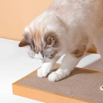 Griffoir chat - Rectangle - ChatTisfait