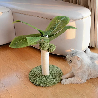 Griffoir chat - Palmier - ChatTisfait