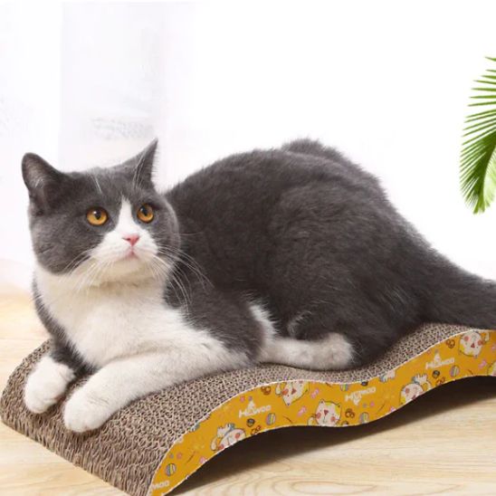 Griffoir chat - Ondulé - ChatTisfait