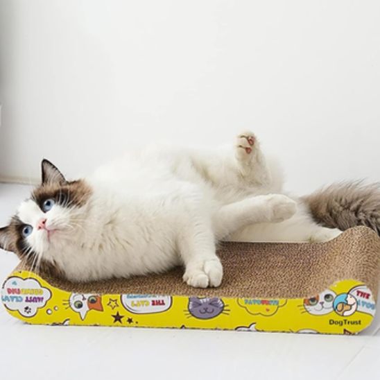 Griffoir chat - Ondulé - ChatTisfait