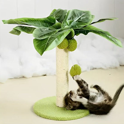 Griffoir chat - Palmier - ChatTisfait