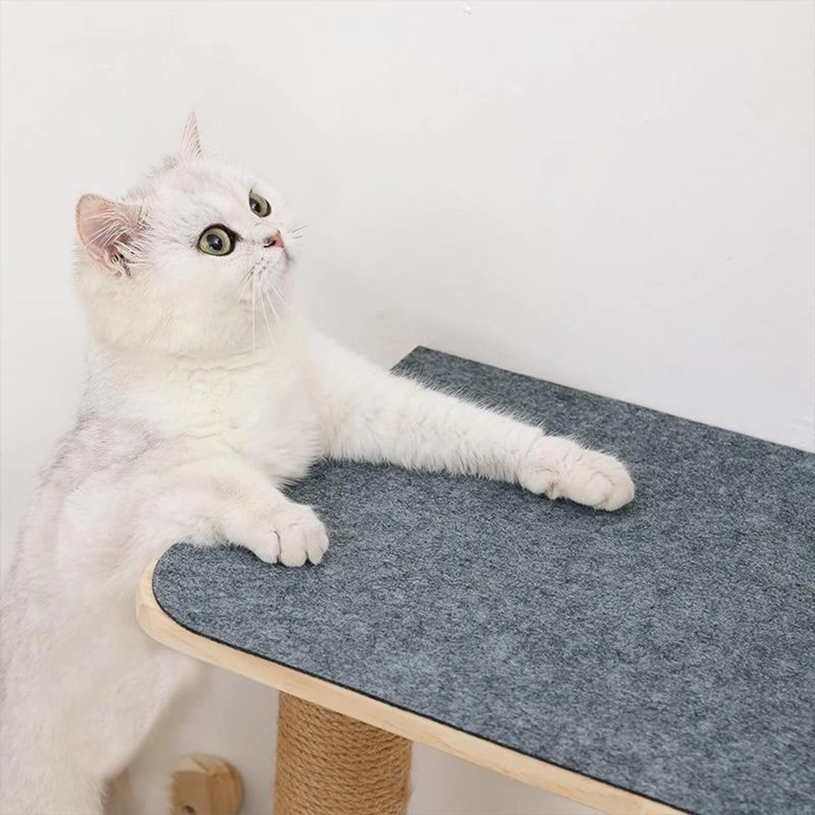 Griffoir chat - Plaque - ChatTisfait