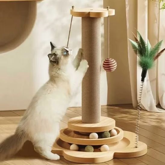 griffoirpourchat-amusant
