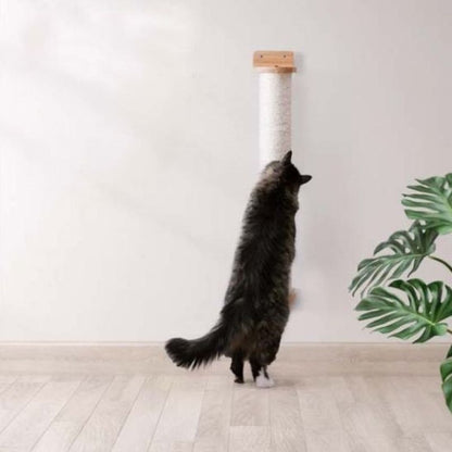 Griffoir chat - Mural - ChatTisfait