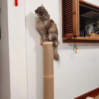 Griffoir chat - Mural - ChatTisfait