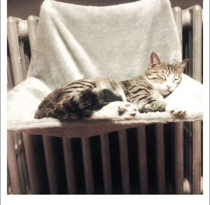 hamacpourchatradiateur-confortable