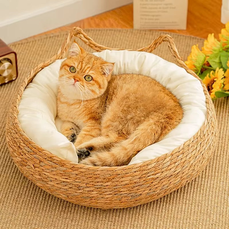 panierenosierpourchat-aveccoussin
