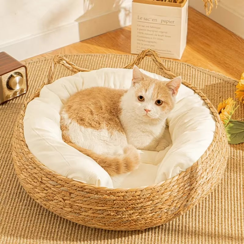panierenosierpourchat-chaleureux