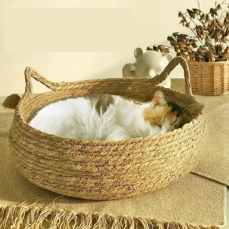 panierenosierpourchat-sanscoussin
