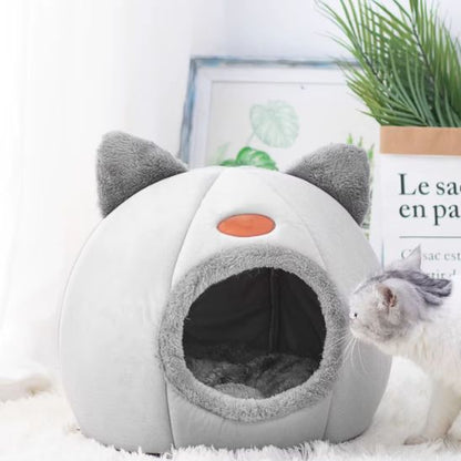 panierpourchat-attirant