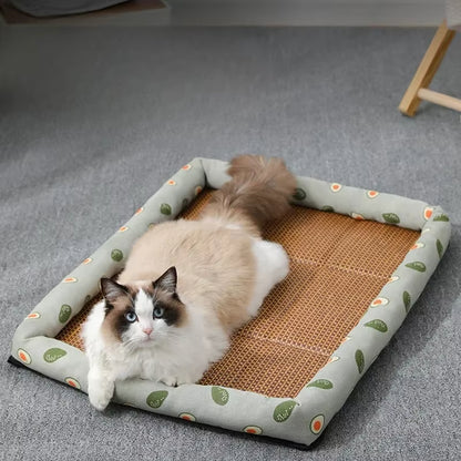 panierpourchat-detente