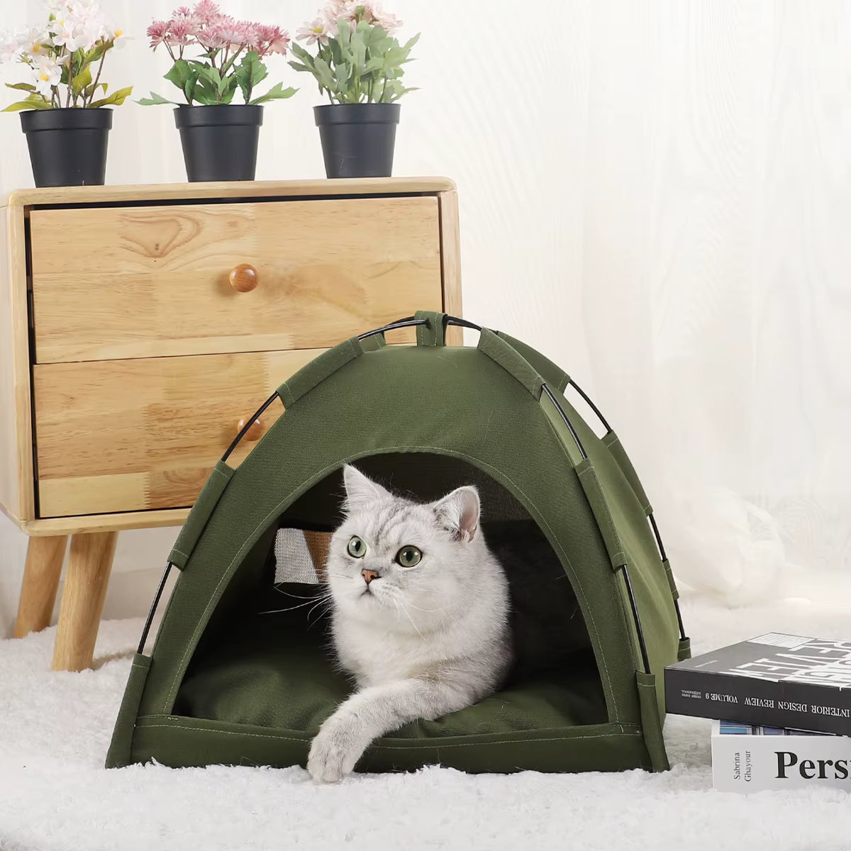 panierpourchat-tante-agreable