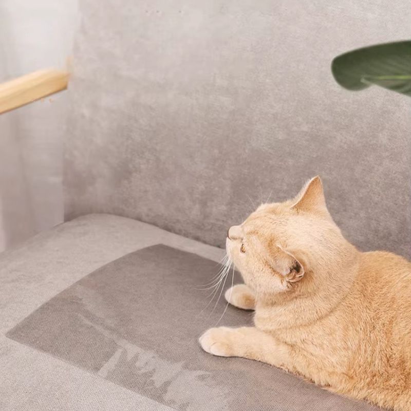 protegeantigriffesdechat-design